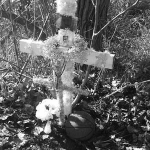 Meet your Posher, Abel